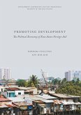 Promoting Development (eBook, PDF)
