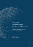 Measuring Multidimensional Poverty and Deprivation (eBook, PDF)
