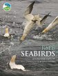 RSPB Seabirds - Bild 1