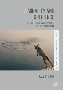 Liminality and Experience (eBook, PDF) - Stenner, Paul