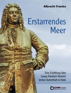 Erstarrendes Meer (eBook, PDF) - Franke, Albrecht