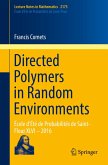 Directed Polymers in Random Environments (eBook, PDF)