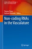 Non-coding RNAs in the Vasculature (eBook, PDF)