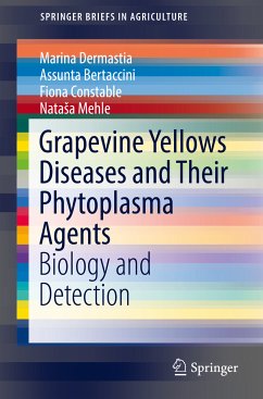 Grapevine Yellows Diseases and Their Phytoplasma Agents (eBook, PDF) - Dermastia, Marina; Bertaccini, Assunta; Constable, Fiona; Mehle, Nataša