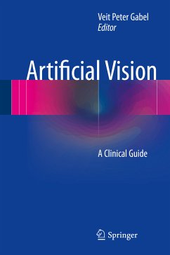 Artificial Vision (eBook, PDF)