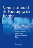 Adenocarcinoma of the Esophagogastric Junction (eBook, PDF)