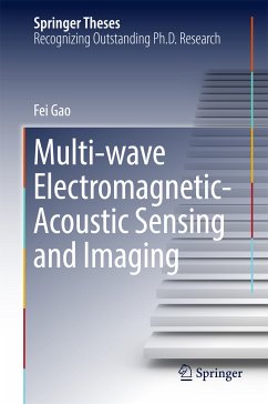 Multi-wave Electromagnetic-Acoustic Sensing and Imaging (eBook, PDF) - Gao, Fei