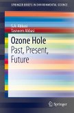 Ozone Hole (eBook, PDF)