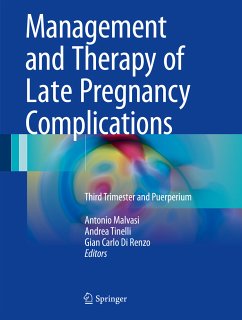 Management and Therapy of Late Pregnancy Complications (eBook, PDF)