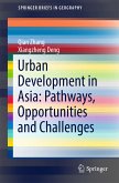 Urban Development in Asia: Pathways, Opportunities and Challenges (eBook, PDF)