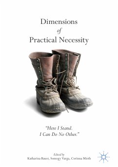 Dimensions of Practical Necessity (eBook, PDF)