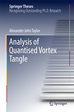 Analysis of Quantised Vortex Tangle (eBook, PDF) - Taylor, Alexander John