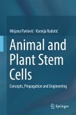 Animal and Plant Stem Cells (eBook, PDF)