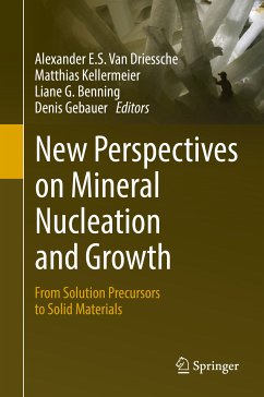 New Perspectives on Mineral Nucleation and Growth (eBook, PDF)