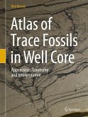 Atlas of Trace Fossils in Well Core (eBook, PDF)