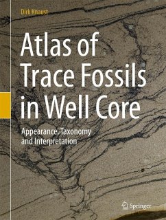 Atlas of Trace Fossils in Well Core (eBook, PDF) - Knaust, Dirk