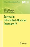 Surveys in Differential-Algebraic Equations IV (eBook, PDF)