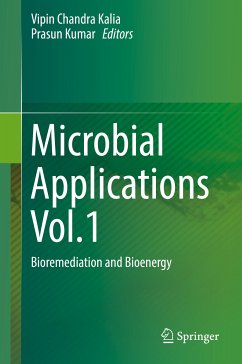 Microbial Applications Vol.1 (eBook, PDF)