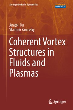 Coherent Vortex Structures in Fluids and Plasmas (eBook, PDF) - Tur, Anatoli; Yanovsky, Vladimir