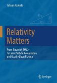 Relativity Matters (eBook, PDF)