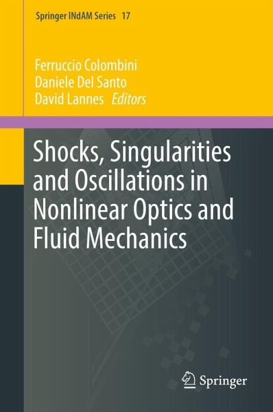 Shocks, Singularities and Oscillations in Nonlinear Optics and Fluid Mechanics (eBook, PDF)