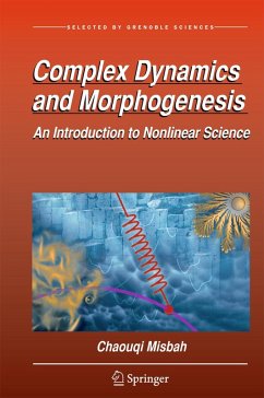 Complex Dynamics and Morphogenesis (eBook, PDF) - Misbah, Chaouqi