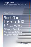 Shock-Cloud Interaction in RX J1713.7−3946 (eBook, PDF)