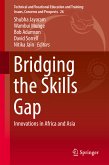 Bridging the Skills Gap (eBook, PDF)