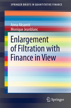 Enlargement of Filtration with Finance in View (eBook, PDF) - Aksamit, Anna; Jeanblanc, Monique