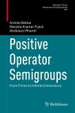 Positive Operator Semigroups (eBook, PDF)