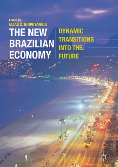 The New Brazilian Economy (eBook, PDF)