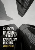 Shadow Banking and the Rise of Capitalism in China (eBook, PDF)
