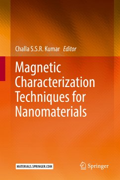 Magnetic Characterization Techniques for Nanomaterials (eBook, PDF)