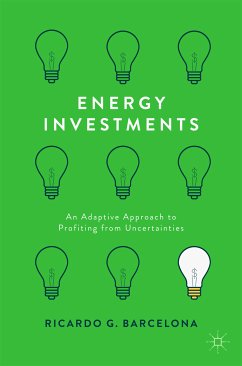 Energy Investments (eBook, PDF)