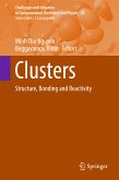 Clusters (eBook, PDF)