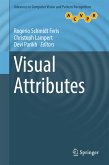 Visual Attributes (eBook, PDF)