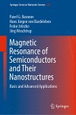 Magnetic Resonance of Semiconductors and Their Nanostructures (eBook, PDF)
