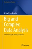 Big and Complex Data Analysis (eBook, PDF)