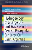 Hydrogeology of a Large Oil-and-Gas Basin in Central Patagonia (eBook, PDF)
