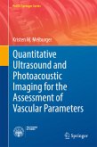 Quantitative Ultrasound and Photoacoustic Imaging for the Assessment of Vascular Parameters (eBook, PDF)