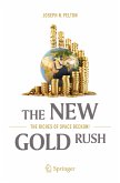 The New Gold Rush (eBook, PDF)