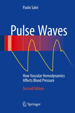 Pulse Waves (eBook, PDF) - Salvi, Paolo