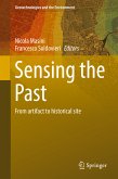 Sensing the Past (eBook, PDF)