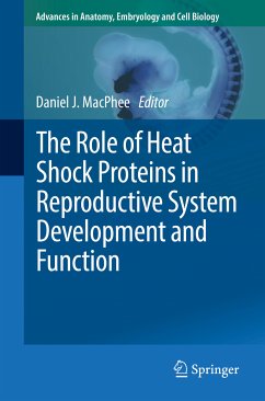 The Role of Heat Shock Proteins in Reproductive System Development and Function (eBook, PDF)