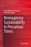 Reimagining Sustainability in Precarious Times (eBook, PDF)