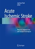 Acute Ischemic Stroke (eBook, PDF)