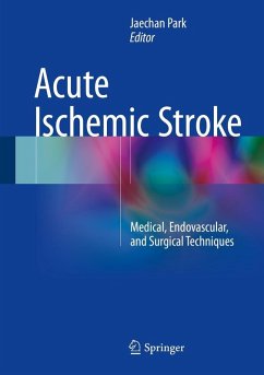 Cover Acute Ischemic Stroke (eBook, PDF)