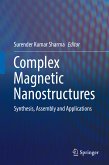Complex Magnetic Nanostructures (eBook, PDF)
