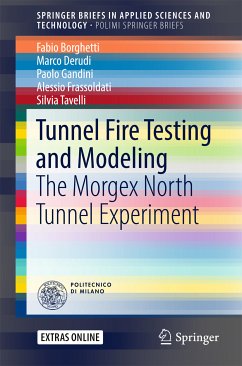 Tunnel Fire Testing and Modeling (eBook, PDF) - Borghetti, Fabio; Derudi, Marco; Gandini, Paolo; Frassoldati, Alessio; Tavelli, Silvia