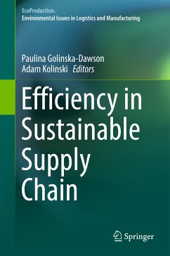 Efficiency in Sustainable Supply Chain (eBook, PDF)